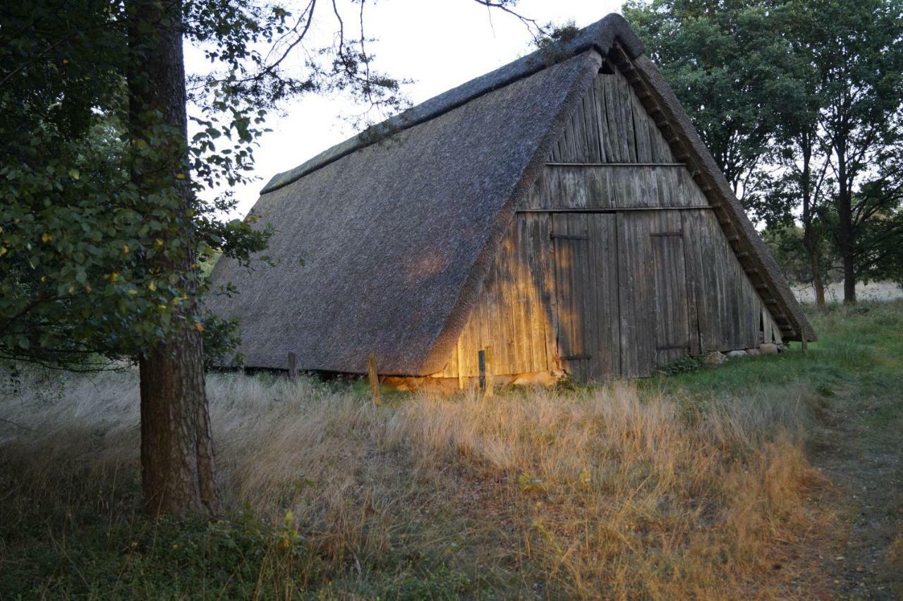 Ferienhaus Wahlers Bispingen Exterior photo